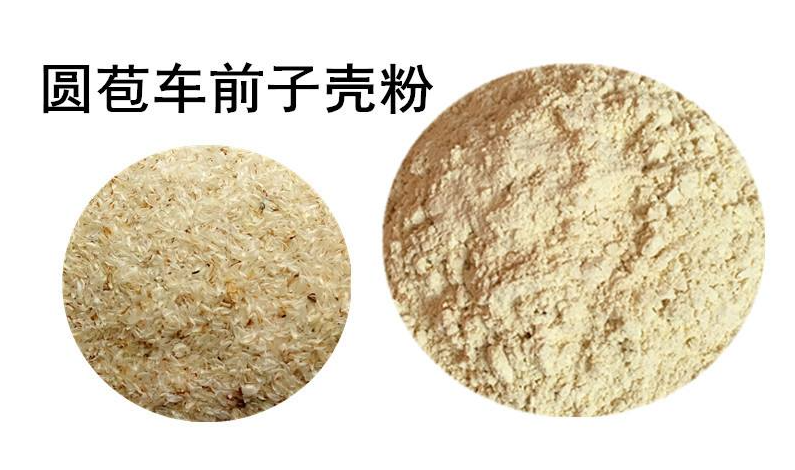 车前子壳粉