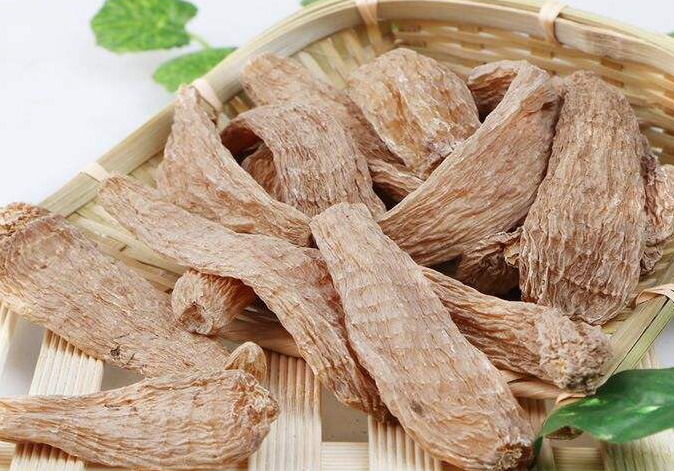 天麻怎么种植