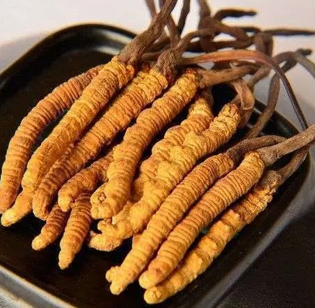 冬虫夏草香烟价格