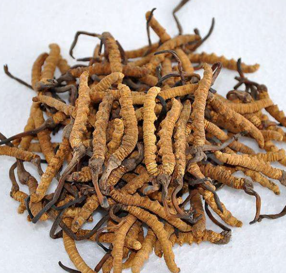 冬虫夏草的食用方法