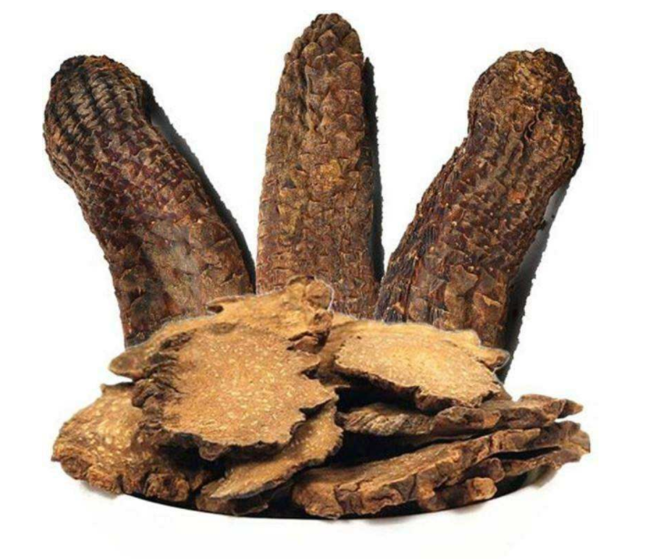 肉苁蓉作用功效怎么样？
