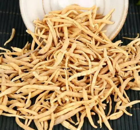 孑参的功效作用有哪些？