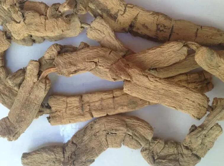 巴戟天的功效与作用及食用方法