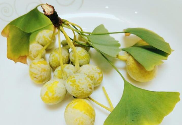 银杏果的食用方法