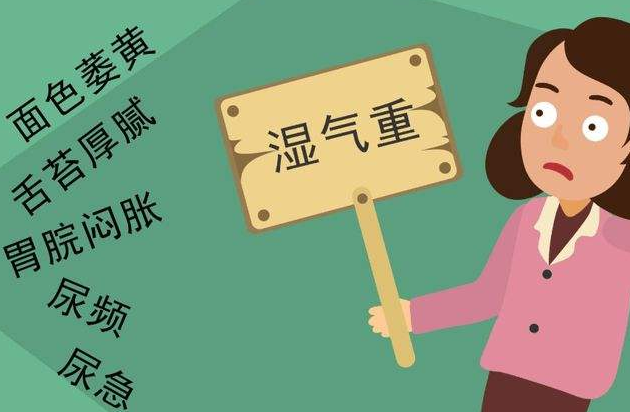 如何调理脾虚湿气重