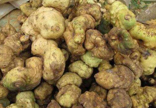 黄精补肾的食疗法是什么