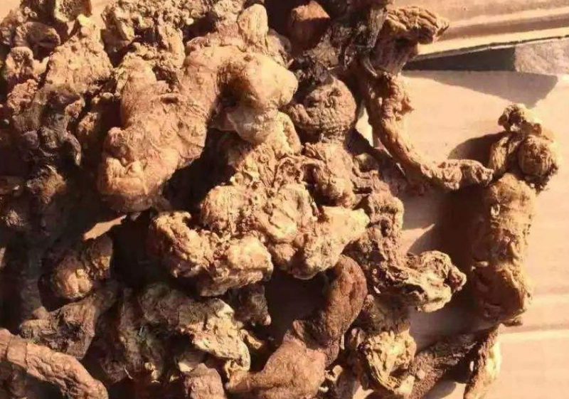 黄精的禁忌