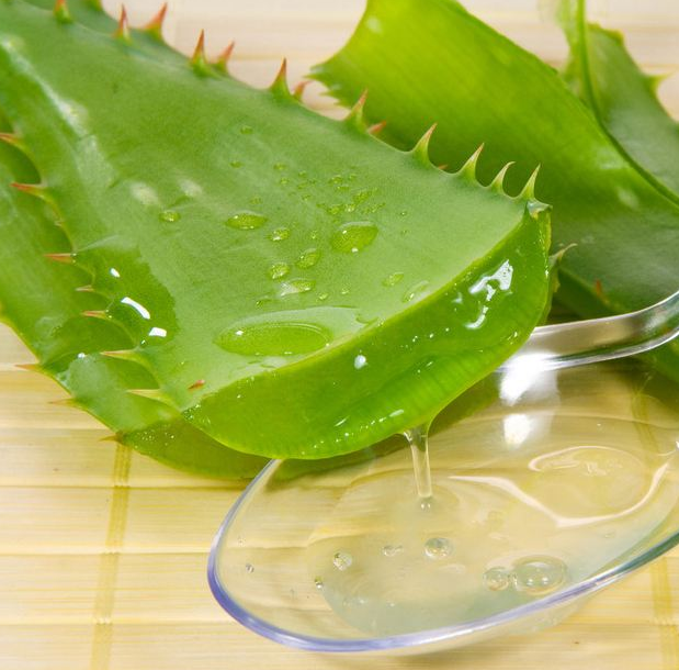 芦荟胶可以治疗狐臭吗？
