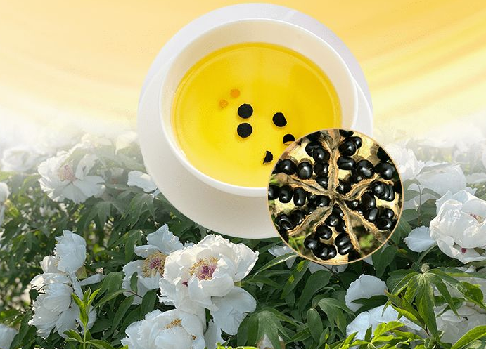牡丹籽油功效作用有哪些