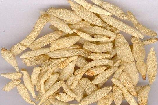 生龙牡的功效作用是什么