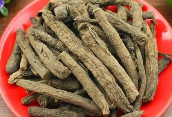 仙茅泡酒功效与作用简介