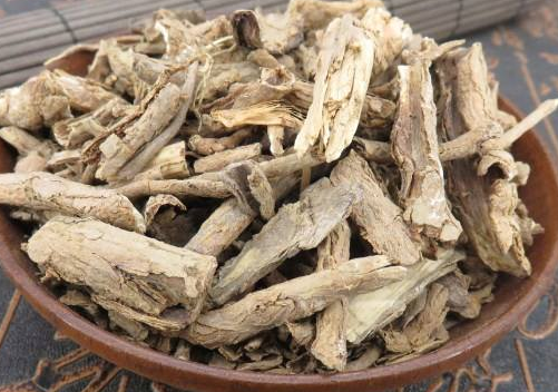 地骨皮泡水喝功效是什么？