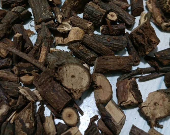 血藤的功效和作用有哪些呢?