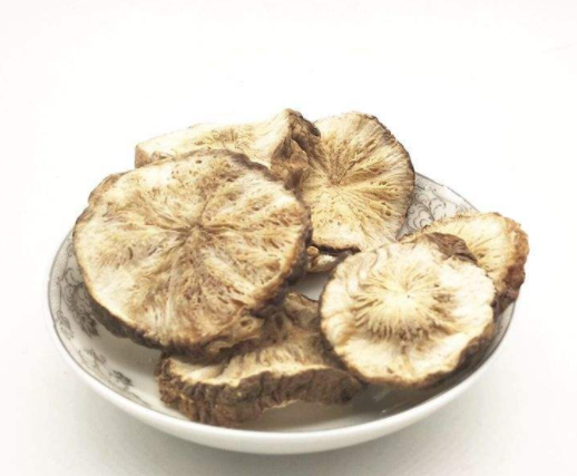菊苣根哪些人不能吃
