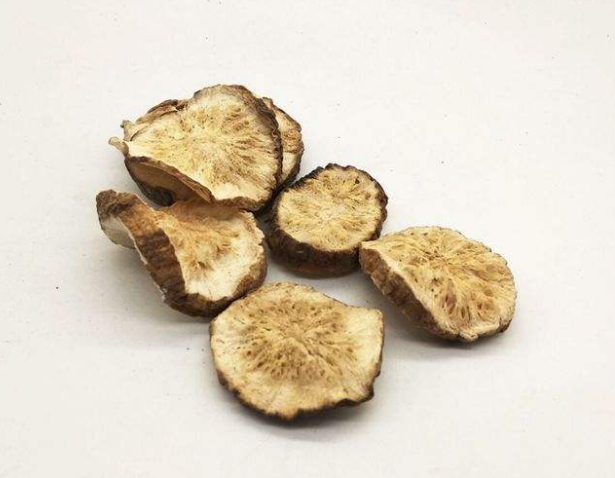 菊苣根的功效与作用