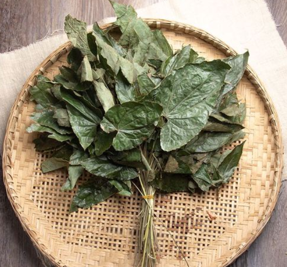 羊藿叶的功效与作用