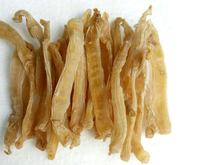 沙虫干