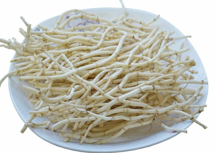 长期喝鱼腥草泡水好吗