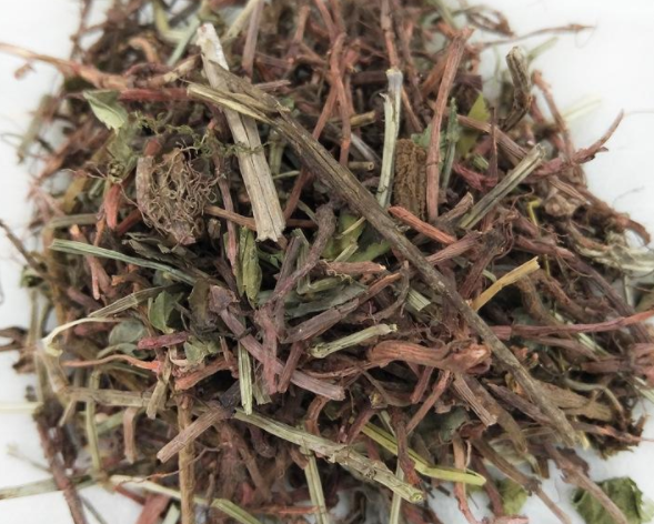 红茜草的功效与作用