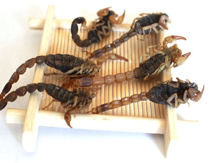 外敷软化腰突中药