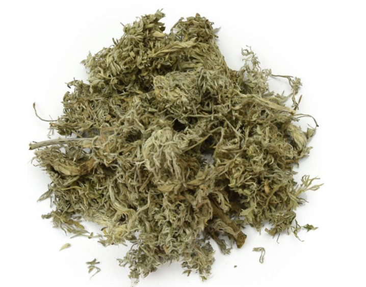 阴沉草的功效与作用