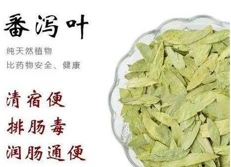 番泄叶的副作用