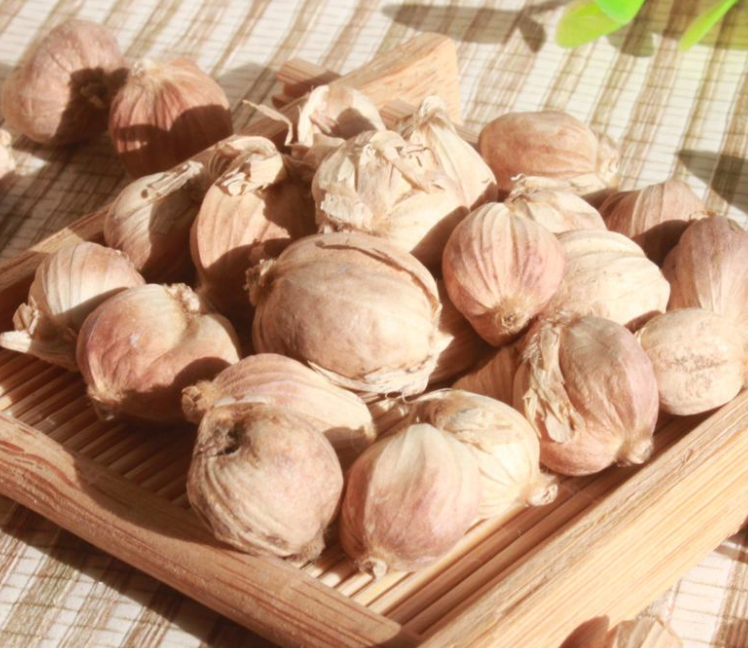 白叩的功效与作用