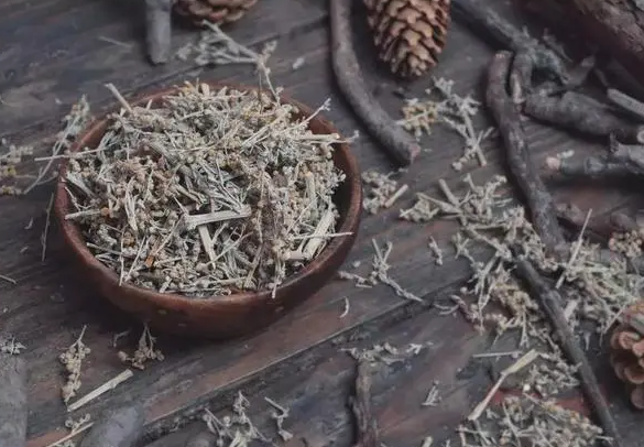 生命草的功效与作用