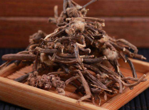 小黑药的作用及功效