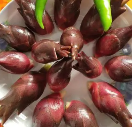 襄荷的功效作用
