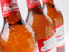 晚上只喝啤酒会减肥吗 空腹喝啤酒了有事吗