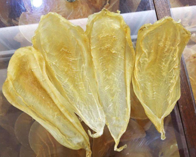 白花胶的功效与作用