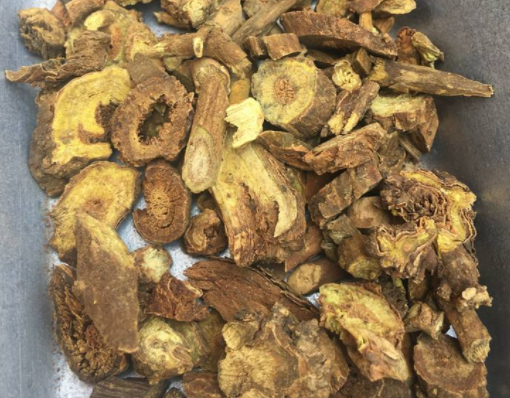 中药黄岑的功效与作用
