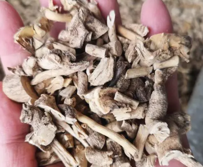 八骨牛的功效与作用是什么