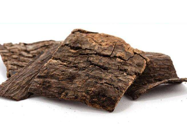 杜仲的用量是多少？