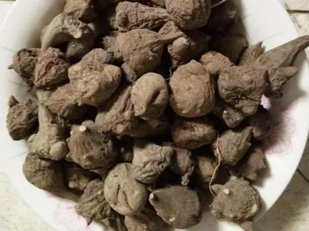 附子中毒解救方法