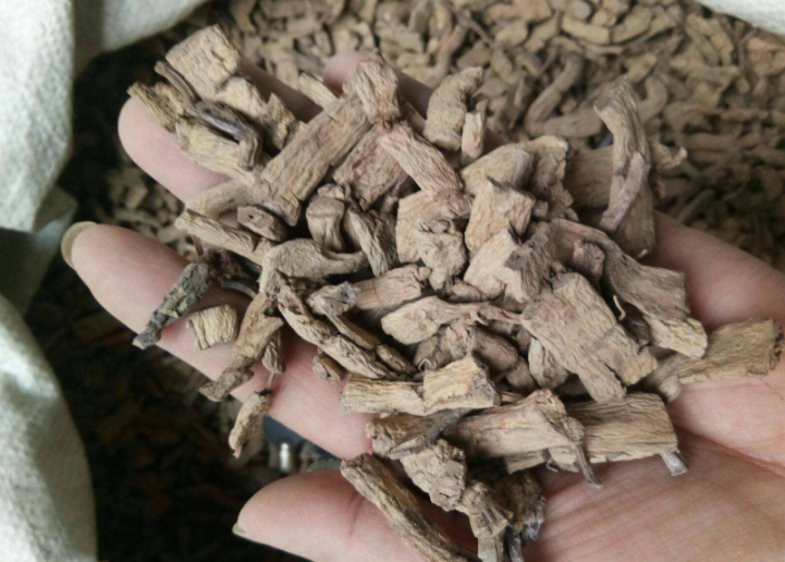 巴戟的毒性
