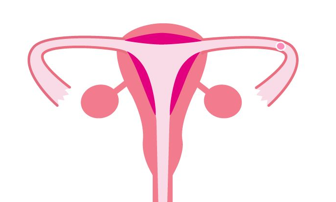 女人来月经可以喝中药吗