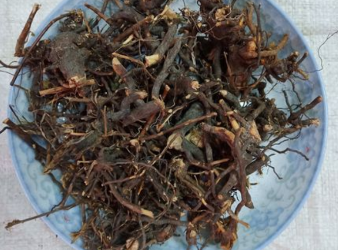 茅莓根的功效与作用