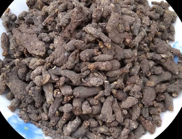 天葵子的功效和作用