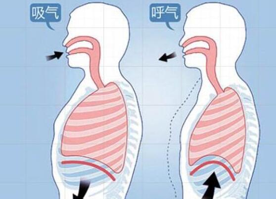 4种简单运动让你瘦遍全身