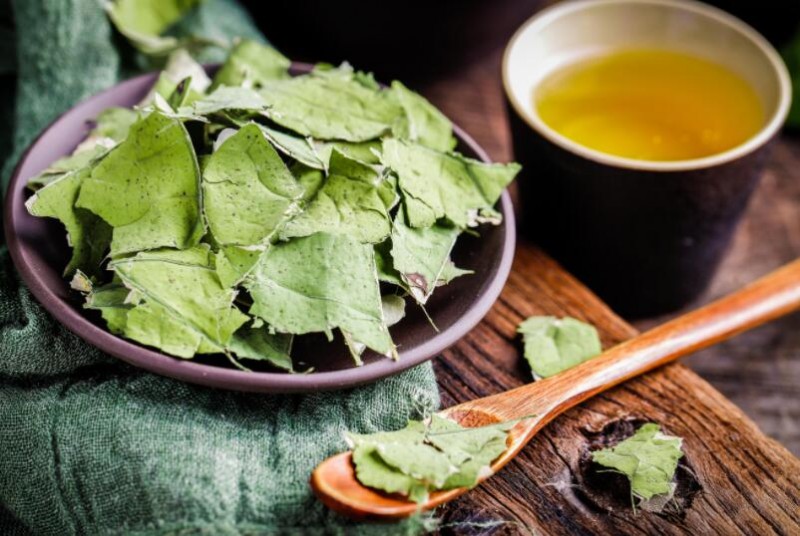 荷叶茶怎么喝才减肥
