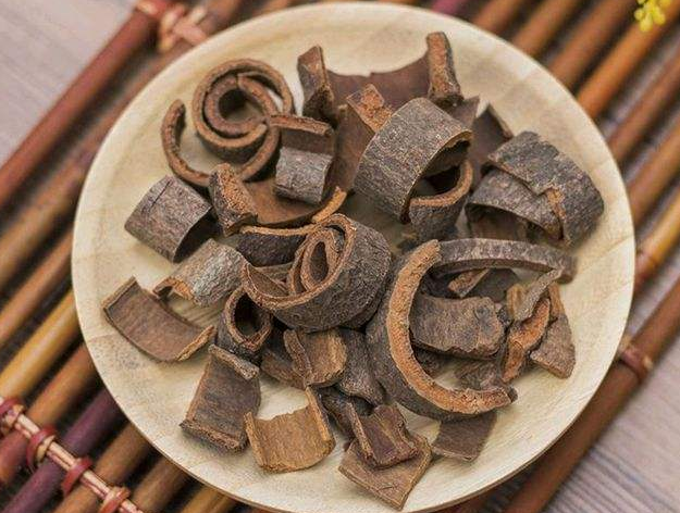 桂枝的功效与作用点