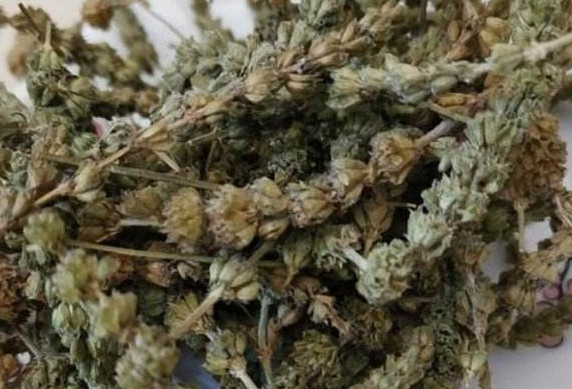 治疗荨麻诊的特效药