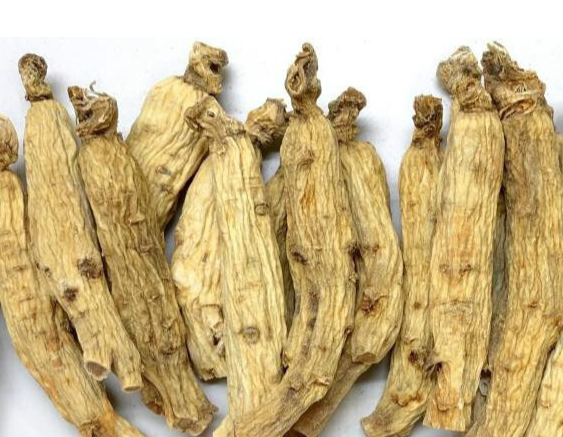 白洋参小孩可以吃吗