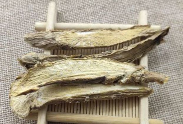 松根藤草药作用