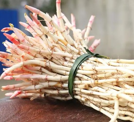 折耳根的功效与作用及食用方法