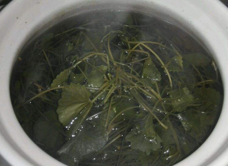 喝雷公根水有什么好处