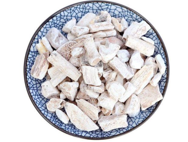 中药龙骨图片