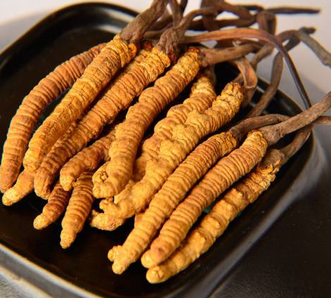 虫草食用前如何清洗